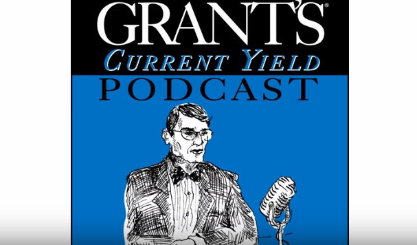 Jim Grant Podcast – The Great Repression