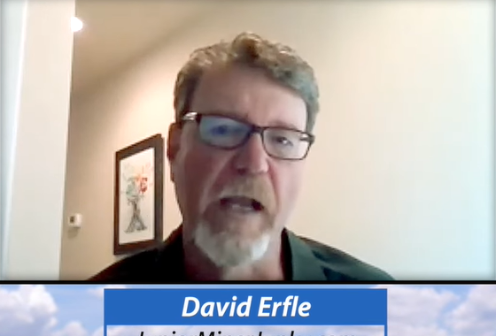 Gold Price Warning and Junior Gold Stock Commentary from Pro Investor David Erfle