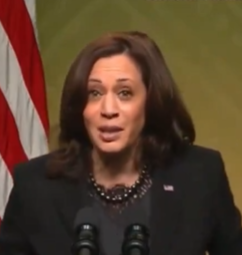 Kamala explains her ideology: ‘Everyone ends up in the same place.’ This is called communism.