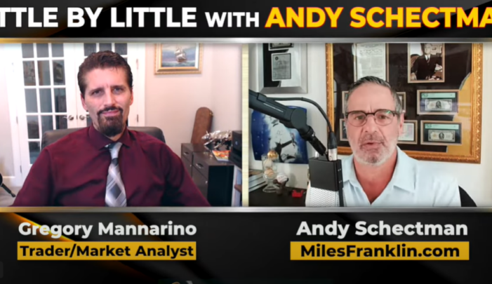 Andy Schectman & Gregory Mannarino: The Great Deconstruction: Who Wins When We Lose?